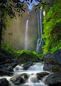 air terjun sekumpul