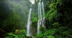 air terjun sekumpul putri bali rental