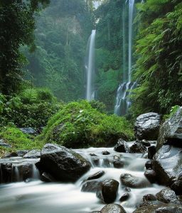 putri bali air terjun
