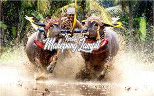 makepung-lampit