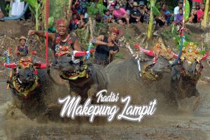 makepung-lampit-putri-bali-rental