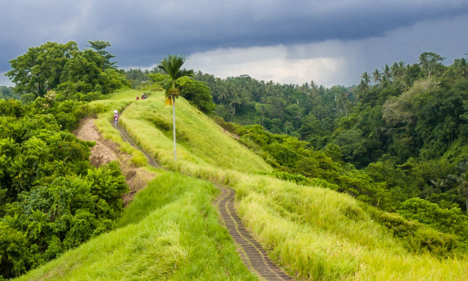 bukit di Pulau Bali