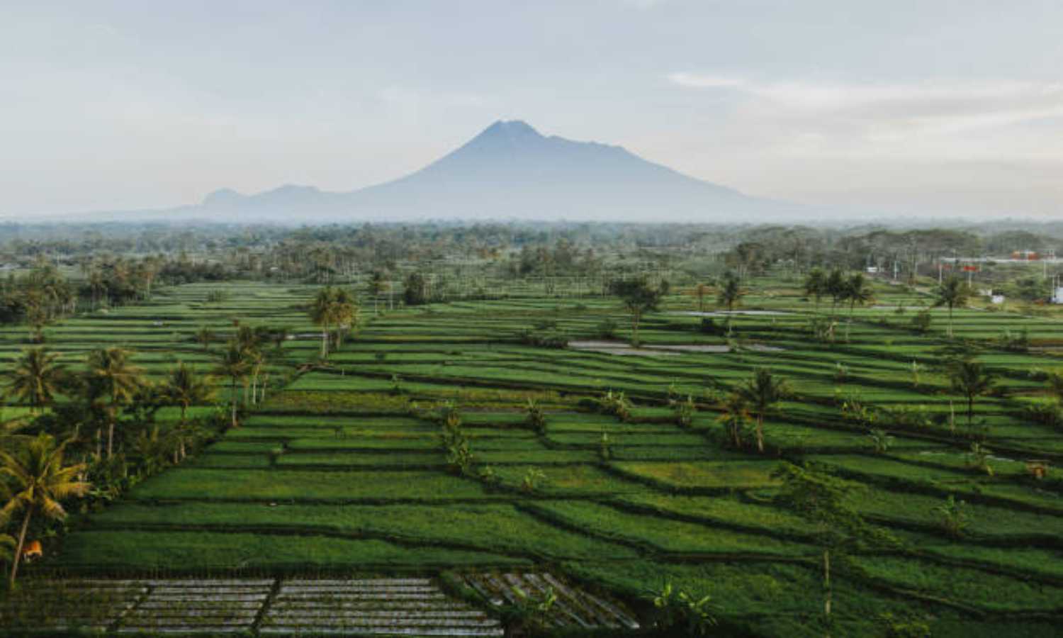 Nama Dataran Rendah di Pulau Bali