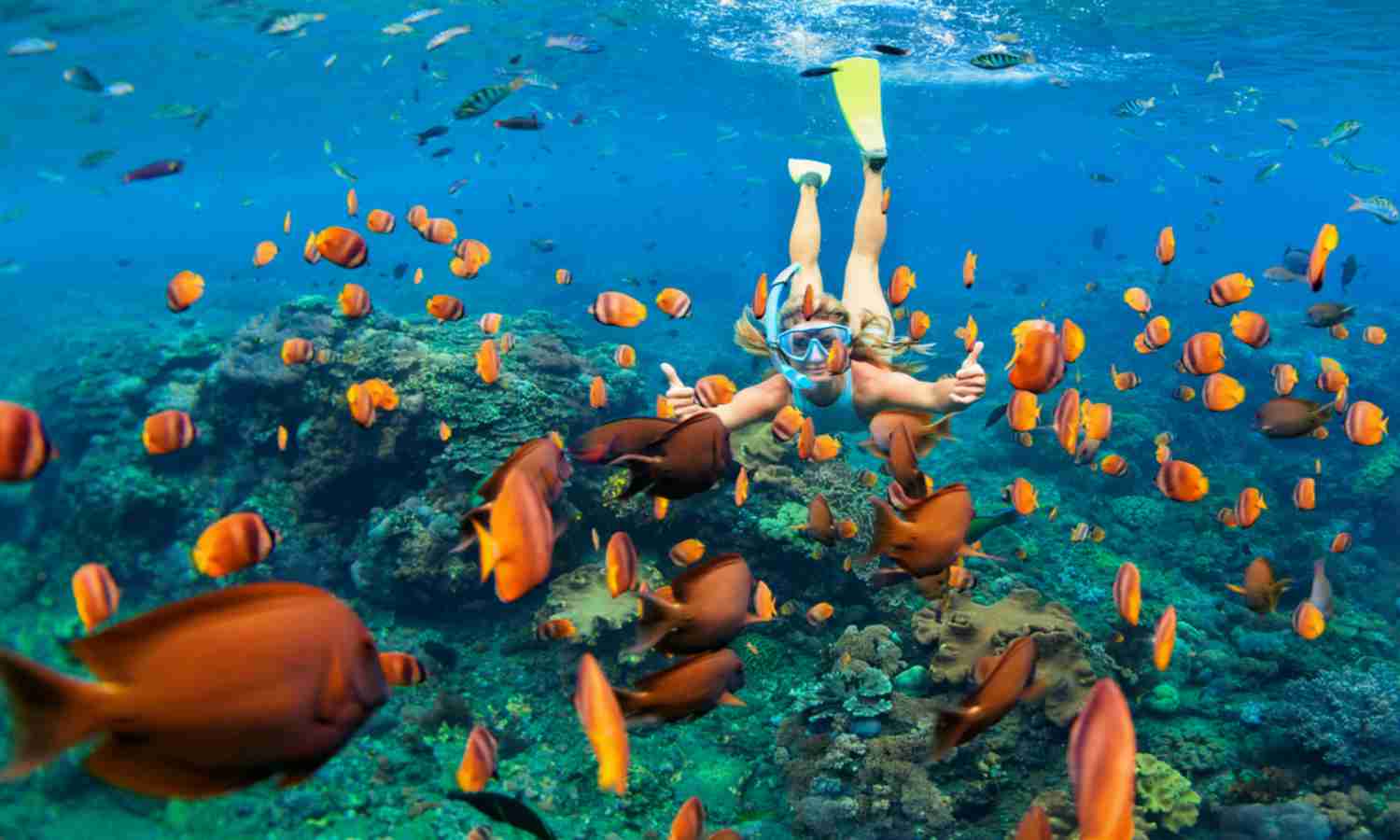 Snorkling Di Bali