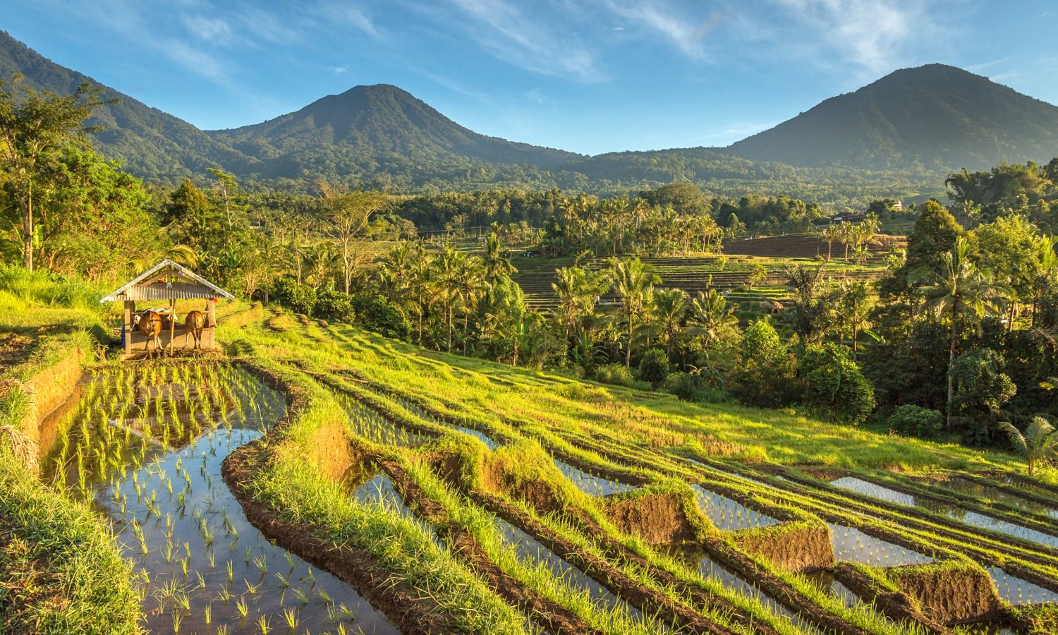 Lembah di Pulau Bali