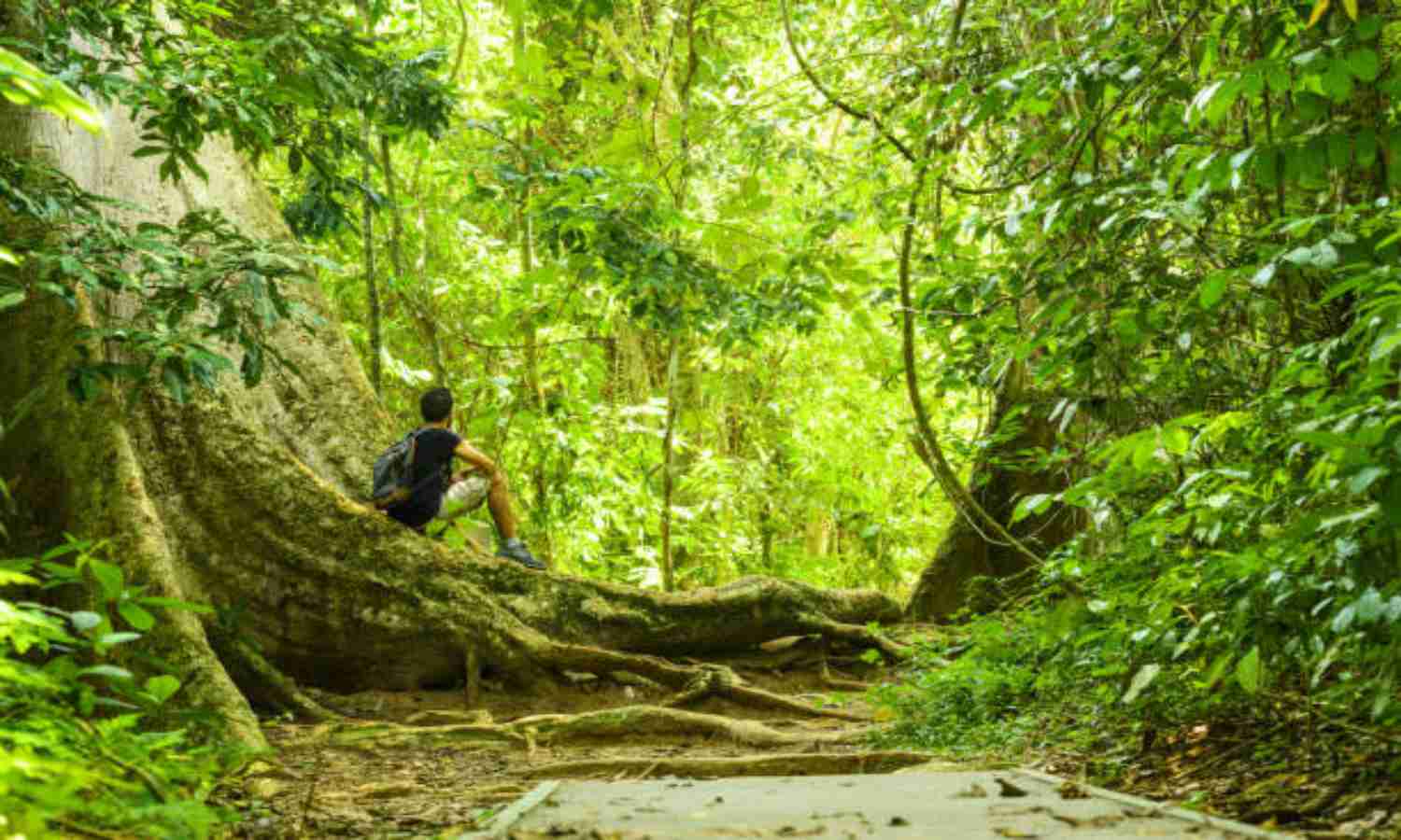 Taman Nasional Bali Barat