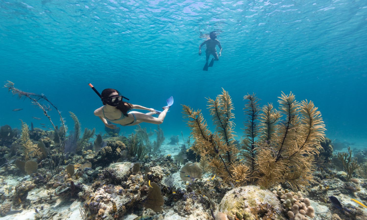 Blue Lagoon Bali