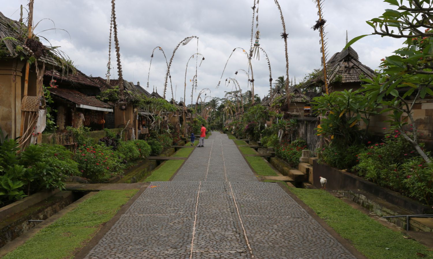 tradisi Desa Penglipuran