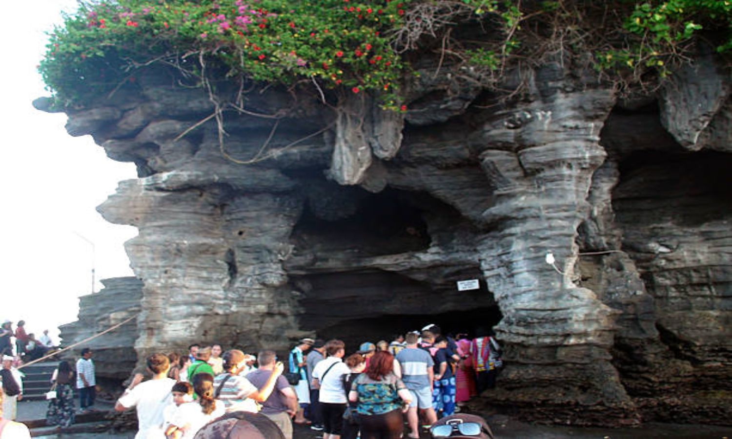 ular suci tanah lot