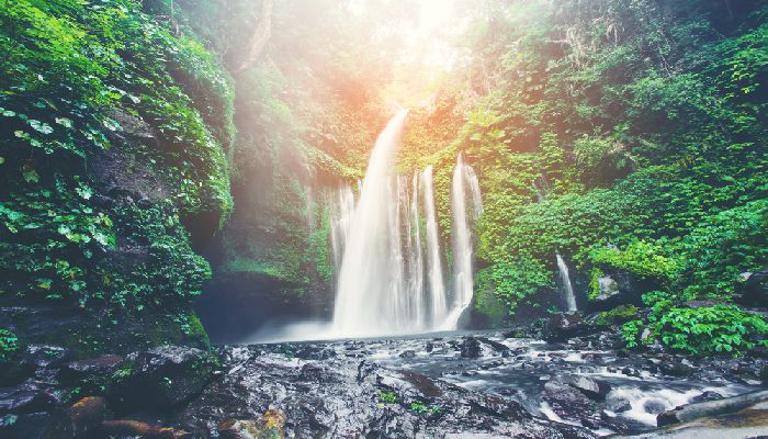 Air Terjun Cemara