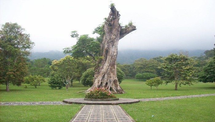 Kebun Raya Bedugul.