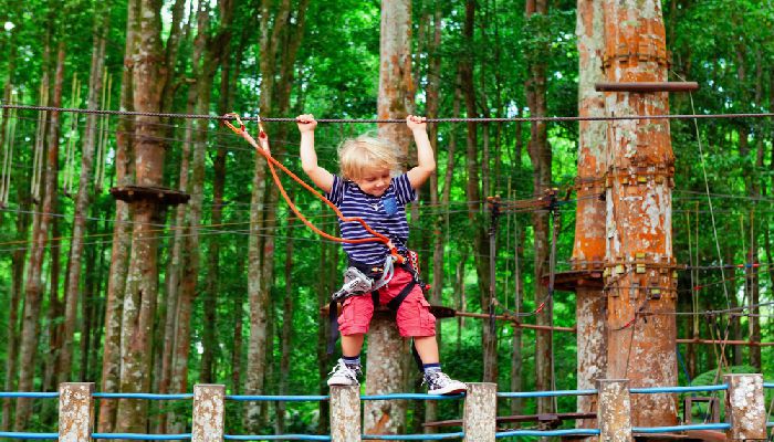 Bali Treetop Adventure Park