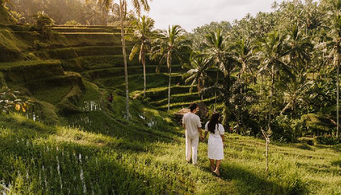 Bali Tower Bistro