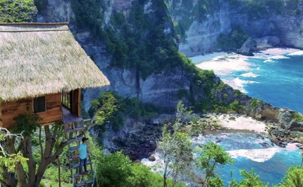 Rumah Pohon Molenteng