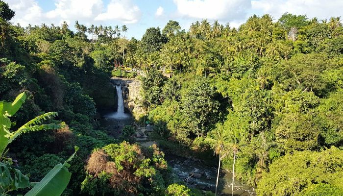 Air Terjun Blangsinga