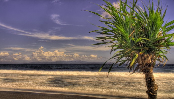 Pantai Masceti