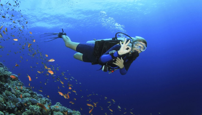 cuba diving Amed Bali