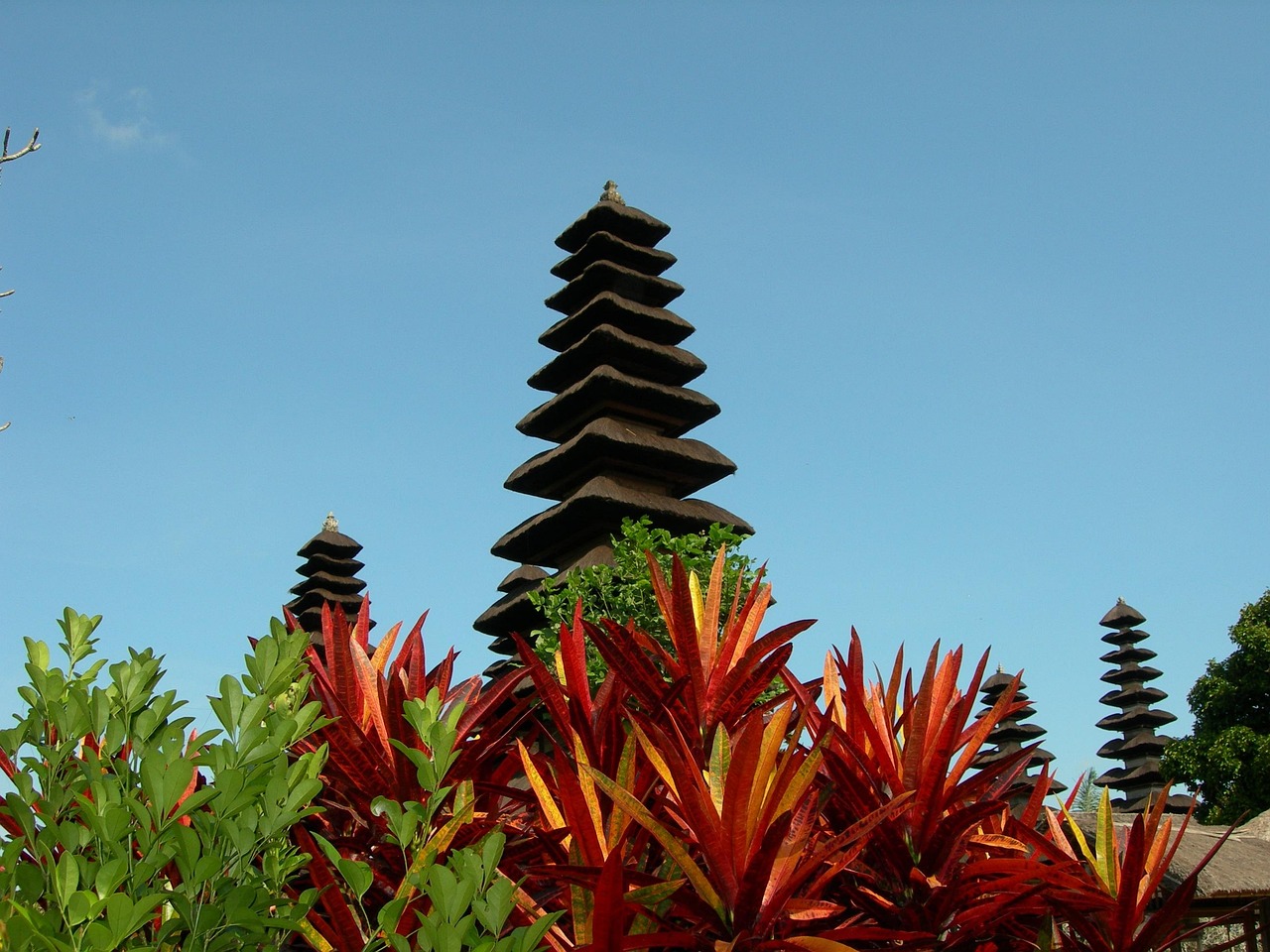 Kebun Raya Eka Karya Bali