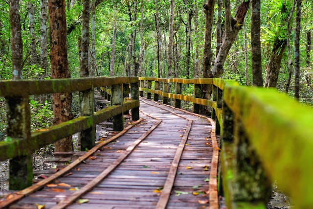 Taman Hutan Raya Ngurah Rai Bali,