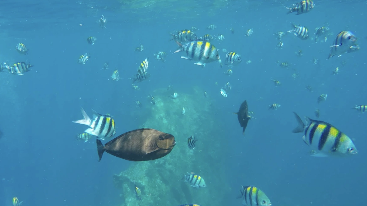 Tulamben Beach Viewpoint