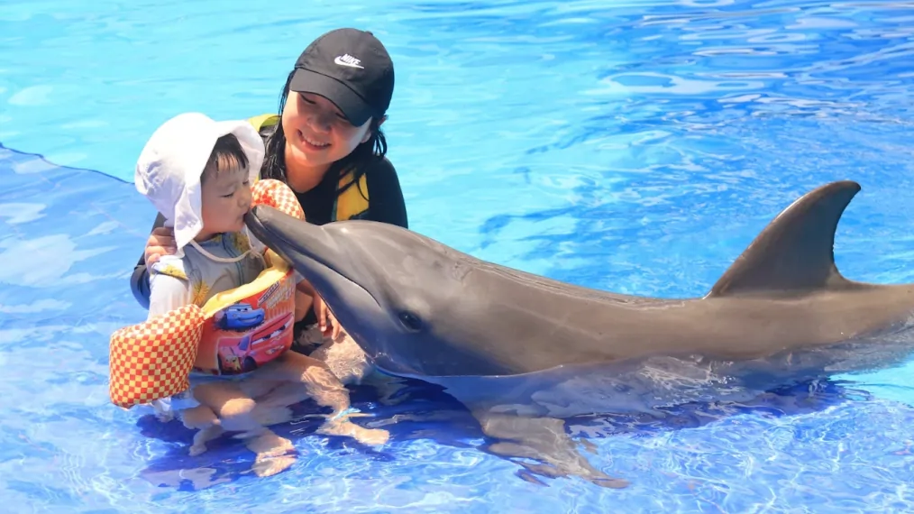 bali exotic marine park