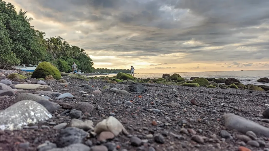 Pantai Dolphin Tejakula