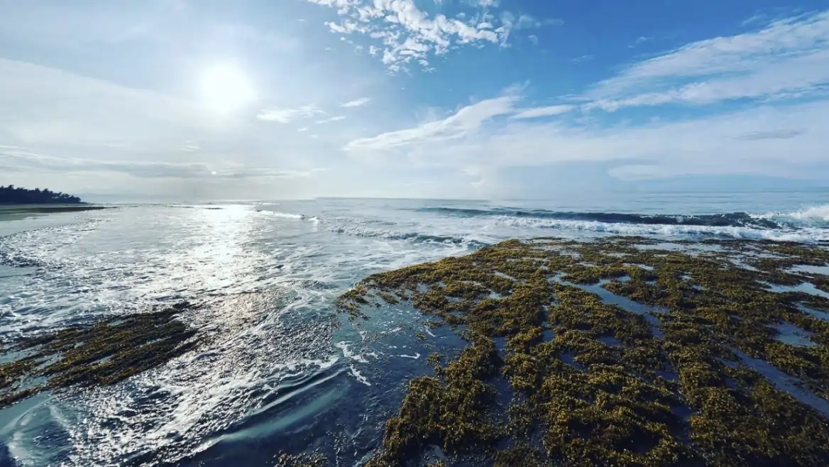 Pantai Perancak