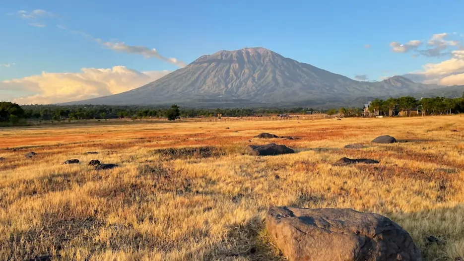 Savana Tianyar