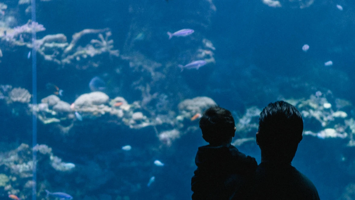 akuarium bawah laut di bali