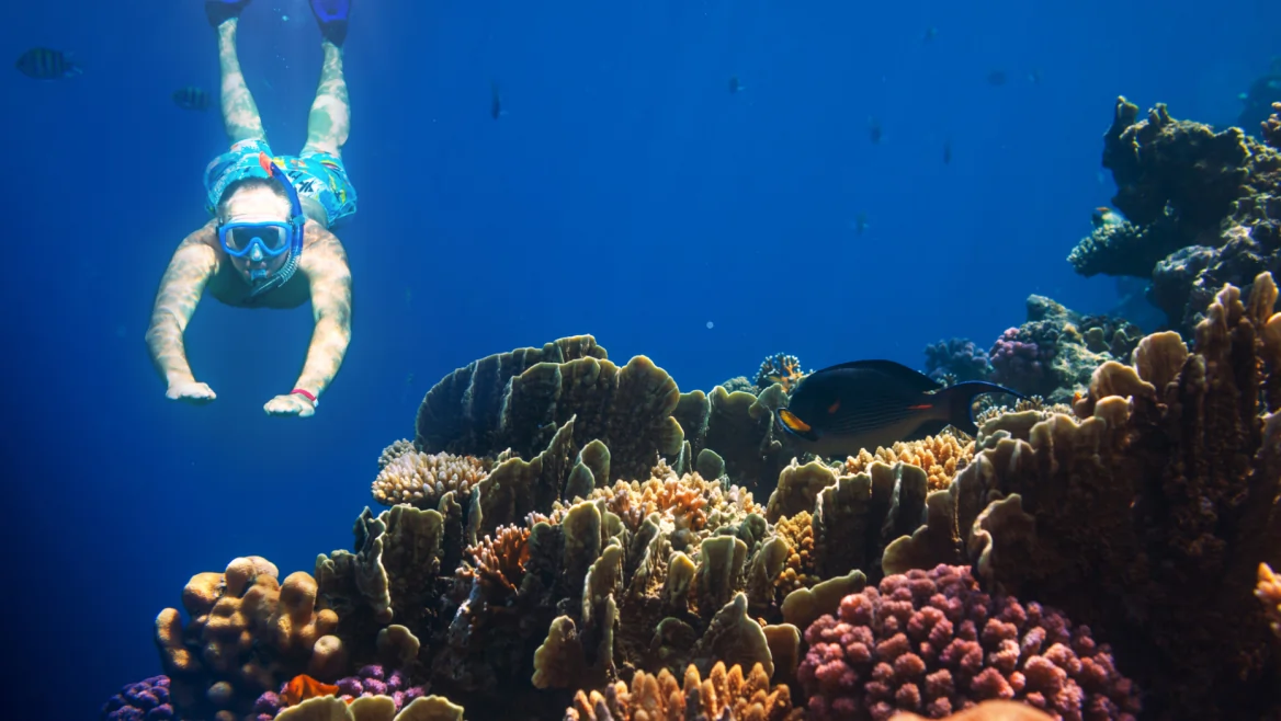 amed snorkeling tour
