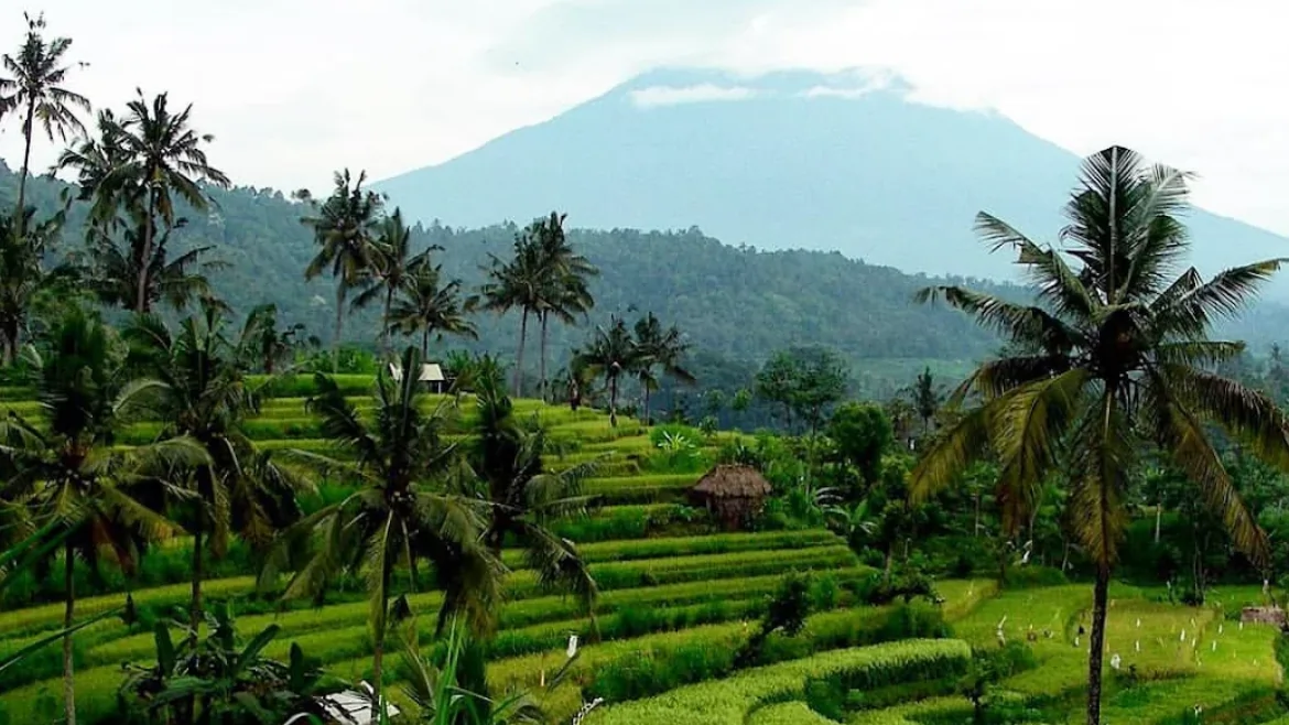 Bali Countryside Sidemen