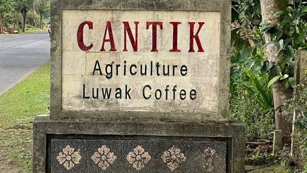 Cantik Coffee Plantation