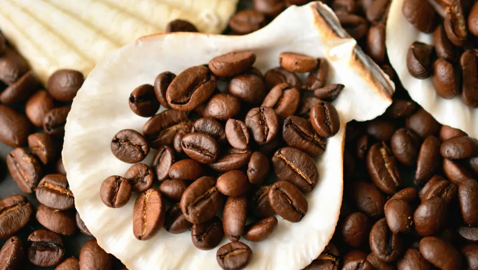 Kopi Kintamaniย