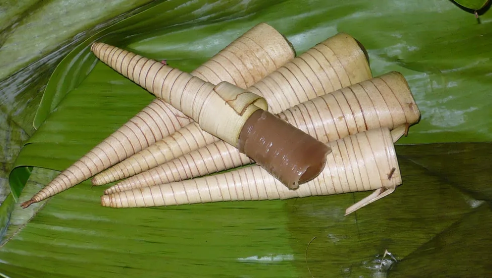 Pisang Rai