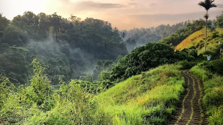 Campuhan Ridge Walk Ubud
