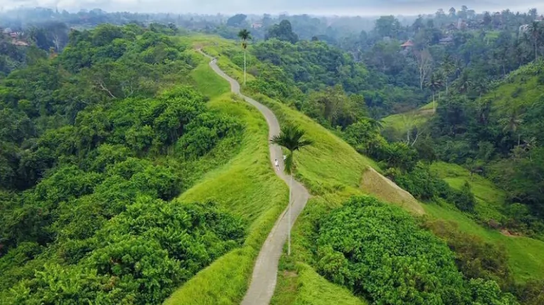 Lokasi dan Harga Tiket Campuhan Ridge Walk Ubud